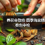 养花会致癌 四季海棠躺着也中枪(图2) 养花会致癌 四季海棠躺着也中枪(图2)