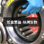 如金菌盈-绿洲生物(图2) 如金菌盈-绿洲生物(图2)