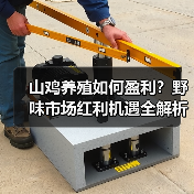 山鸡养殖如何盈利?野味市场红利机遇全解析(图3) 山鸡养殖如何盈利?野味市场红利机遇全解析(图3)