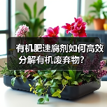 有机肥速腐剂如何高效分解有机废弃物?(图1) 有机肥速腐剂如何高效分解有机废弃物?(图1)