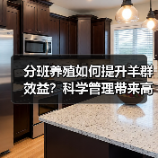 分班养羊法如何提升经济效益?科学养殖带来致富新模式-辰飞雨绿 分班养羊法如何提升经济效益?科学养殖带来致富新模式-辰飞雨绿