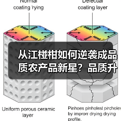 从江椪柑为何入选中国优质农产品目录?-辰飞雨绿源新宇生物有机 从江椪柑为何入选中国优质农产品目录?-辰飞雨绿源新宇生物有机