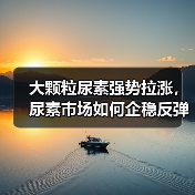 大颗粒尿素强势拉涨,尿素市场如何企稳反弹?(图1) 大颗粒尿素强势拉涨,尿素市场如何企稳反弹?(图1)