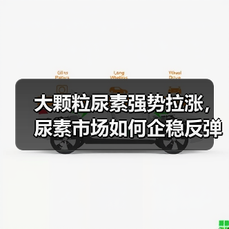 大颗粒尿素强势拉涨,尿素市场如何企稳反弹?(图2) 大颗粒尿素强势拉涨,尿素市场如何企稳反弹?(图2)