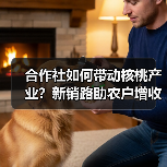 合作社如何带动核桃产业?新销路助农户增收(图1) 合作社如何带动核桃产业?新销路助农户增收(图1)
