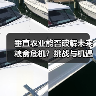垂直农业能否破解未来粮食危机?挑战与机遇并存(图2) 垂直农业能否破解未来粮食危机?挑战与机遇并存(图2)