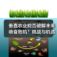 垂直农业能否破解未来粮食危机?挑战与机遇并存(图3) 垂直农业能否破解未来粮食危机?挑战与机遇并存(图3)
