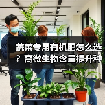 蔬菜专用有机肥怎么选?高微生物含量提升种植效果(图2) 蔬菜专用有机肥怎么选?高微生物含量提升种植效果(图2)