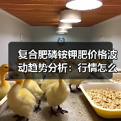 复合肥磷铵钾肥价格波动趋势分析:行情怎么走?(图2) 复合肥磷铵钾肥价格波动趋势分析:行情怎么走?(图2)