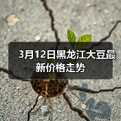 3月12日黑龙江大豆最新价格走势 3月12日黑龙江大豆最新价格走势