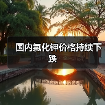 国内氯化钾价格持续下跌(图2) 国内氯化钾价格持续下跌(图2)