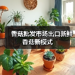香菇批发市场出口新鲜香菇新模式(图4) 香菇批发市场出口新鲜香菇新模式(图4)