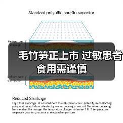 毛竹笋正上市 过敏患者食用需谨慎(图4) 毛竹笋正上市 过敏患者食用需谨慎(图4)