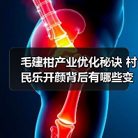 毛建柑产业优化秘诀 村民乐开颜背后有哪些变化?(图2) 毛建柑产业优化秘诀 村民乐开颜背后有哪些变化?(图2)