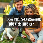 大豆肉粉多肽碳酶肥如何提升土壤肥力?(图2) 大豆肉粉多肽碳酶肥如何提升土壤肥力?(图2)