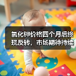氯化钾价格四个月后终现反转,市场期待持续上涨(图2) 氯化钾价格四个月后终现反转,市场期待持续上涨(图2)