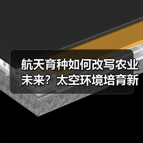 航天育种如何改写农业未来?太空环境培育新希望(图2) 航天育种如何改写农业未来?太空环境培育新希望(图2)