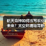 航天育种如何改写农业未来?太空环境培育新希望(图4) 航天育种如何改写农业未来?太空环境培育新希望(图4)