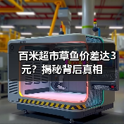 百米超市草鱼价差达3元?揭秘背后真相(图2) 百米超市草鱼价差达3元?揭秘背后真相(图2)