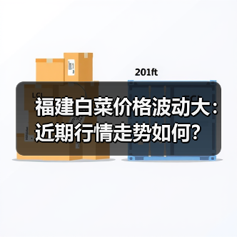 福建白菜价格波动大:近期行情走势如何?(图1) 福建白菜价格波动大:近期行情走势如何?(图1)
