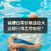 福建白菜价格波动大:近期行情走势如何?(图2) 福建白菜价格波动大:近期行情走势如何?(图2)