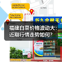 福建白菜价格波动大:近期行情走势如何?(图3) 福建白菜价格波动大:近期行情走势如何?(图3)