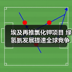 埃及再推氯化钾项目 绿氢氨发展提速全球竞争(图2) 埃及再推氯化钾项目 绿氢氨发展提速全球竞争(图2)