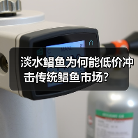 淡水鲳鱼为何能低价冲击传统鲳鱼市场? 淡水鲳鱼为何能低价冲击传统鲳鱼市场?