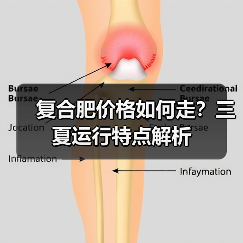 复合肥价格如何走?三夏运行特点解析(图4) 复合肥价格如何走?三夏运行特点解析(图4)