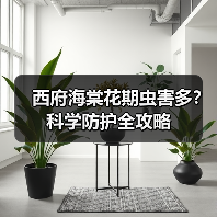 西府海棠花期虫害多?科学防护全攻略(图2) 西府海棠花期虫害多?科学防护全攻略(图2)