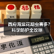 西府海棠花期虫害多?科学防护全攻略(图4) 西府海棠花期虫害多?科学防护全攻略(图4)