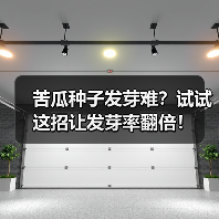 苦瓜种子发芽难?试试这招让发芽率翻倍!(图3) 苦瓜种子发芽难?试试这招让发芽率翻倍!(图3)