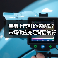 春笋上市引价格暴跌?市场供应充足背后的行情真相(图4) 春笋上市引价格暴跌?市场供应充足背后的行情真相(图4)