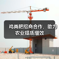 鸡粪肥招商合作，助力农业提质增效（图3）