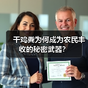 干鸡粪为何成为农民丰收的秘密武器？（图1）