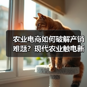 农业电商如何破解产销难题?现代农业触电新路径(图4) 农业电商如何破解产销难题?现代农业触电新路径(图4)