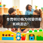 冬青树价格为何受供需影响波动?(图4) 冬青树价格为何受供需影响波动?(图4)
