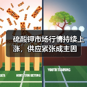 硫酸钾市场行情持续上涨,供应紧张成主因(图3) 硫酸钾市场行情持续上涨,供应紧张成主因(图3)