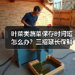 叶菜类蔬菜保存时间短怎么办?三招延长保鲜时间(图1) 叶菜类蔬菜保存时间短怎么办?三招延长保鲜时间(图1)