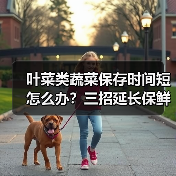 叶菜类蔬菜保存时间短怎么办?三招延长保鲜时间(图4) 叶菜类蔬菜保存时间短怎么办?三招延长保鲜时间(图4)