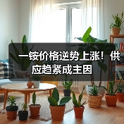 一铵价格逆势上涨!供应趋紧成主因(图3) 一铵价格逆势上涨!供应趋紧成主因(图3)
