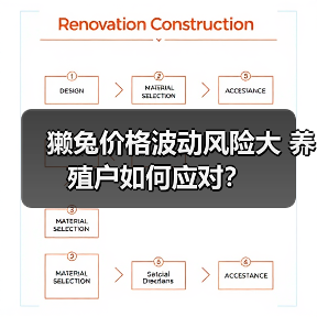 獭兔价格波动风险大 养殖户如何应对?(图3) 獭兔价格波动风险大 养殖户如何应对?(图3)