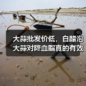 大蒜批发价低,白醋泡大蒜对降血脂真的有效? 大蒜批发价低,白醋泡大蒜对降血脂真的有效?