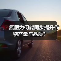 氮肥为何能同步提升作物产量与品质?(图3) 氮肥为何能同步提升作物产量与品质?(图3)