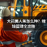 大花美人蕉怎么种？栽培管理全攻略（图1）