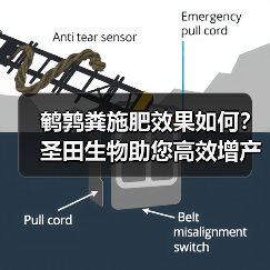 鹌鹑粪施肥效果如何？圣田生物助您高效增产（图2）