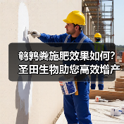 鹌鹑粪施肥效果如何？圣田生物助您高效增产（图1）