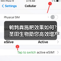 鹌鹑粪施肥效果如何？圣田生物助您高效增产（图4）