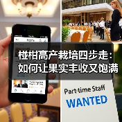 椪柑高产栽培四步走:如何让果实丰收又饱满?(图4) 椪柑高产栽培四步走:如何让果实丰收又饱满?(图4)
