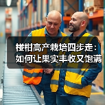 椪柑高产栽培四步走:如何让果实丰收又饱满?(图3) 椪柑高产栽培四步走:如何让果实丰收又饱满?(图3)